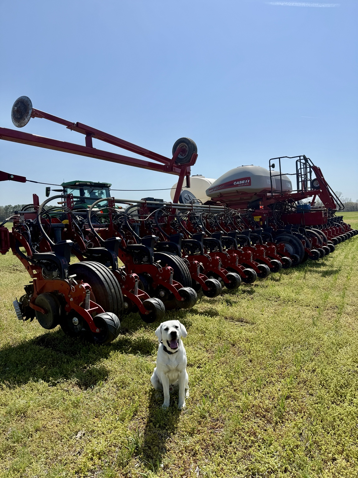 Farm dog beside a planter at Engel Family Farms