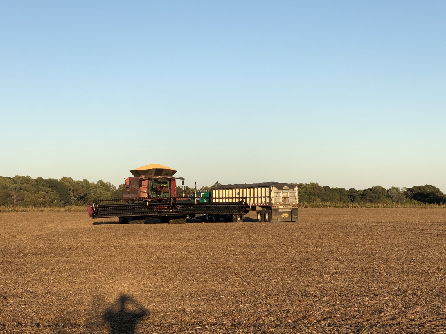 Combine, grain cart, and truck working together during harvest
