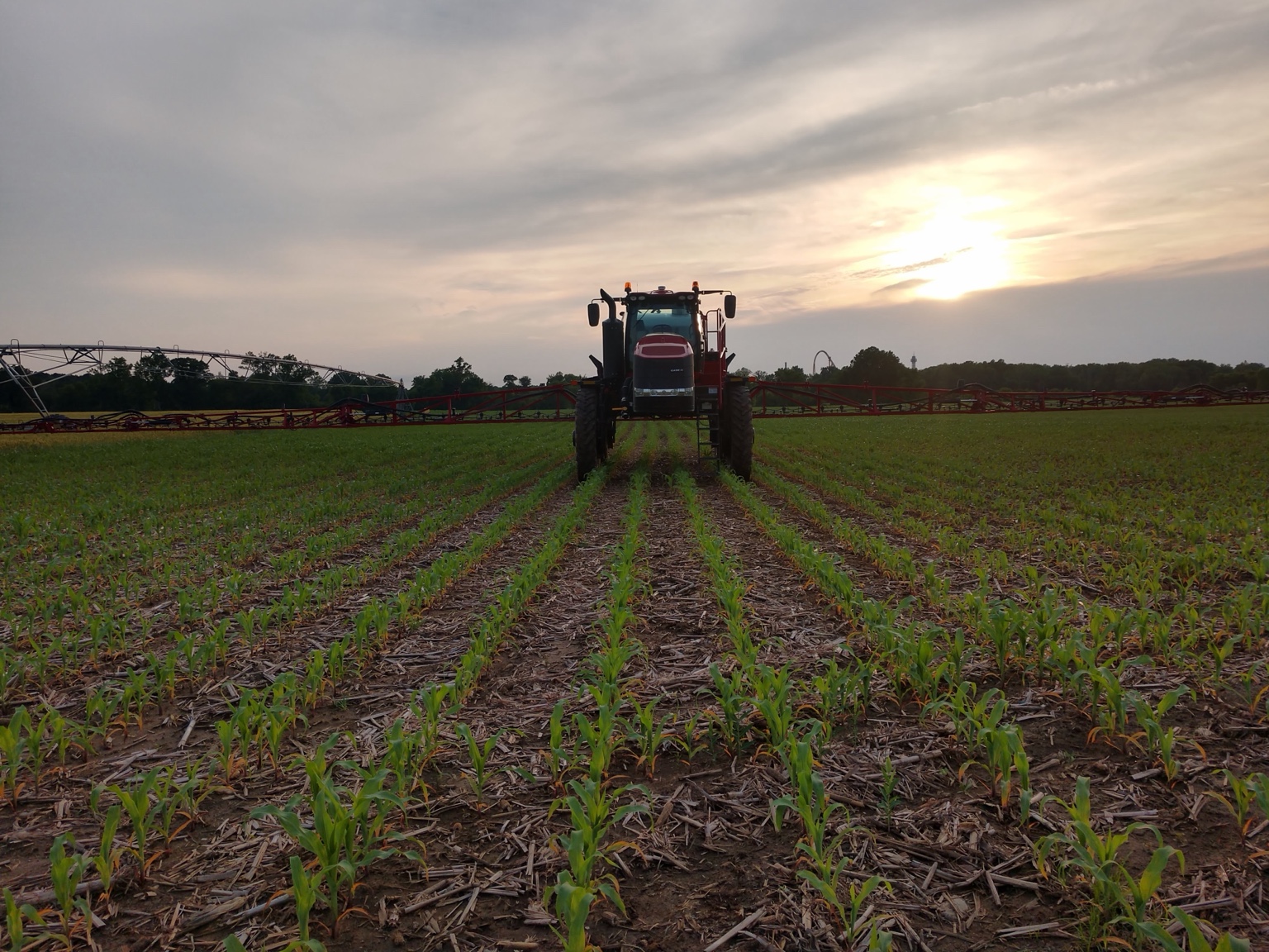High-clearance sprayer working through young crop rows at sunset