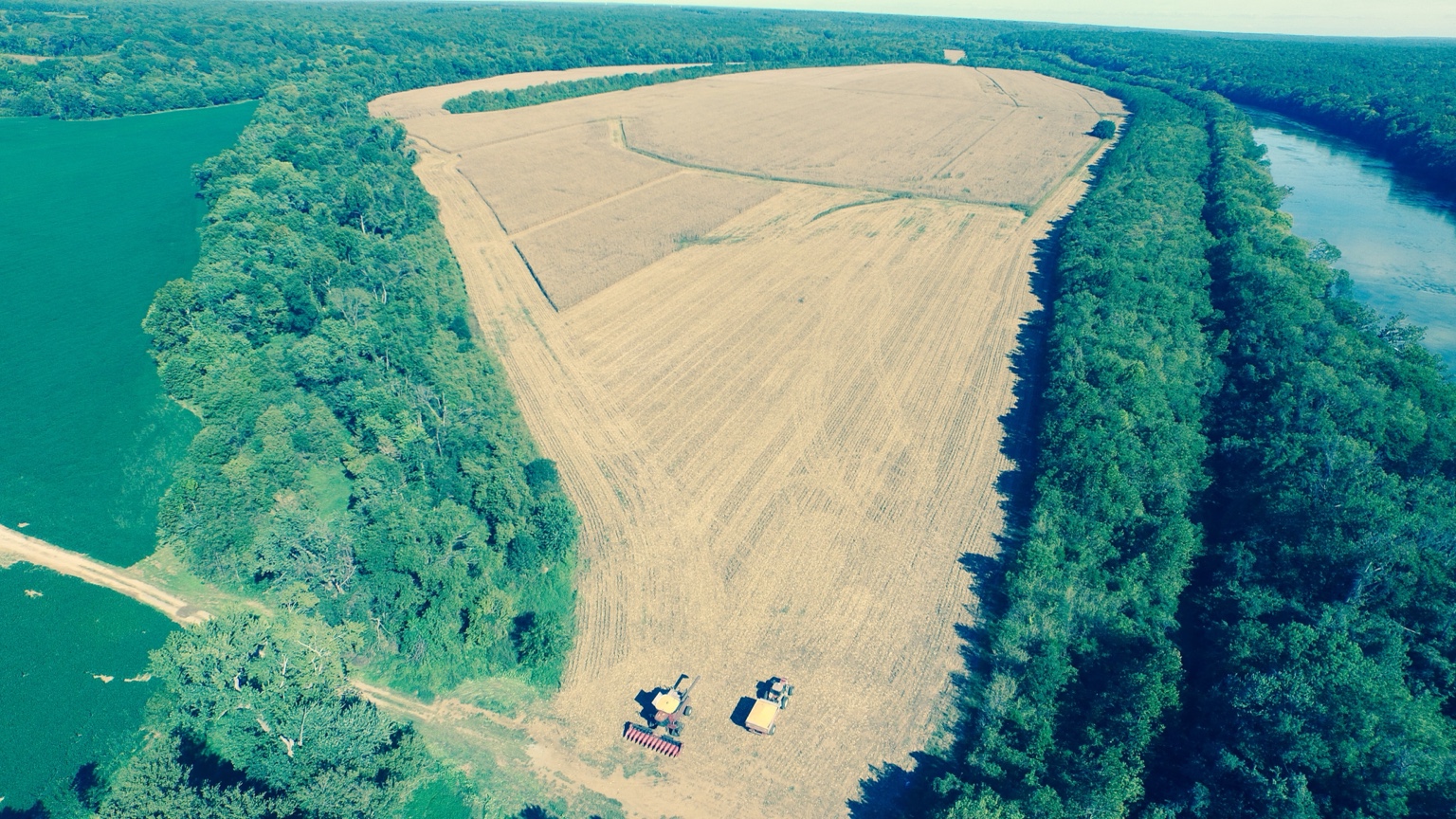 Aerial view of harvest underway at Engel Family Farms