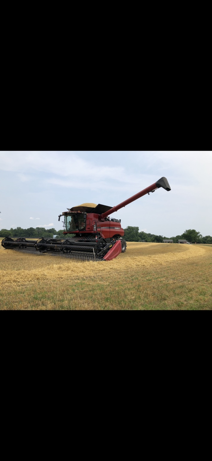 Combine unloading grain into a cart during harvest